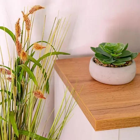 Jagoda - By Guide アパート *