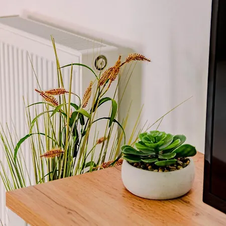 דירה Jagoda - By Guide