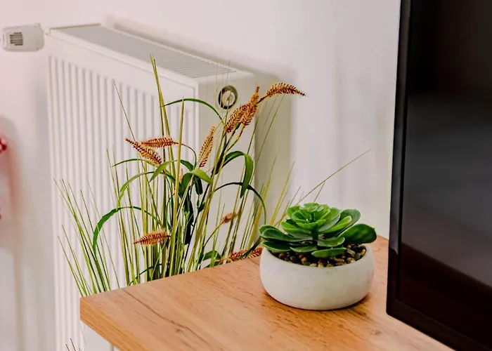 דירה Jagoda - By Guide